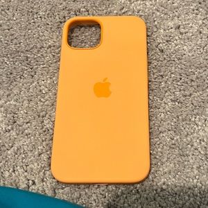 iPhone 13 APPLE silicone MagSafe case